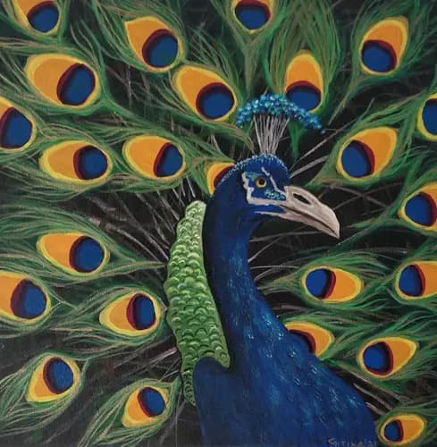 GITIKA SINGH:Majestic Peacock,2021