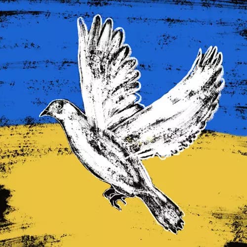 NASTYA LI:Dove of Peace,2022