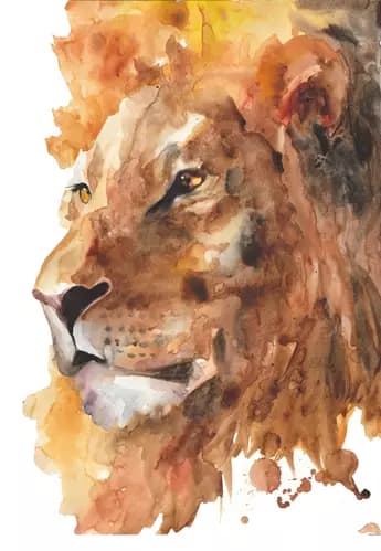 KAROLINA BUNDASH: Lion King,2020