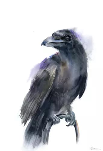 OLGA SHEFRANOV:Raven,2022