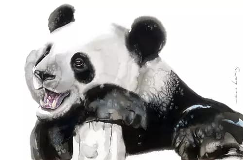 SOO BENG LIM:Happy Panda,2023